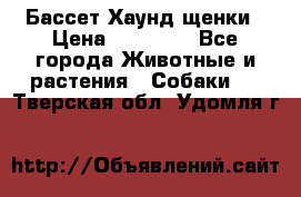 Бассет Хаунд щенки › Цена ­ 20 000 - Все города Животные и растения » Собаки   . Тверская обл.,Удомля г.
